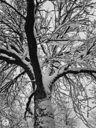 Winter’s Handwriting