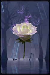 1 Eternal Rose floor 0.0083199