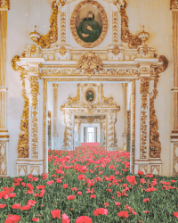 1 Architectural fields floor 0