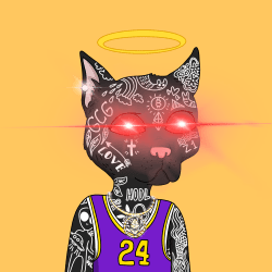 #41