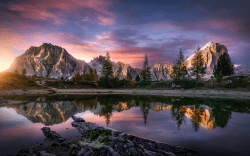 1 Fabio Antenore Open Edition floor 0