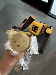 1 Rare floor 0.00549