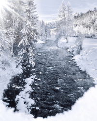 1 WildAD - Wildalps Airdrops floor 0