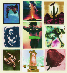 1 Steinology Editions floor 0