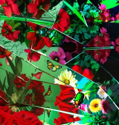 1 memory is sweet, even when it is bitter floor 0.005