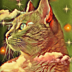 1 SpaceCatArt floor 0.01