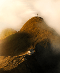 1 WildED - Wildalps Editions floor 0.008876