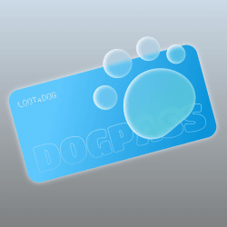 1 LOOTaDOG Pass Card floor 0