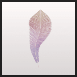 1 Pluma (SI) floor 0.039