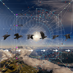 1 Isolux by Yoshi Sodeoka  floor 1