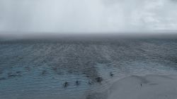 Solitude