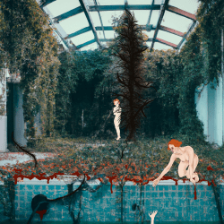 1 Gozde Editions floor 0.01