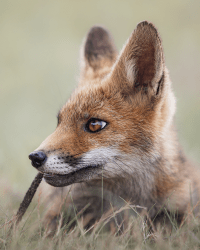 1 Nick Bng Editions floor 0