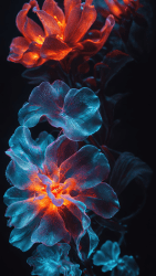 BIOME LUMINA #4/1000