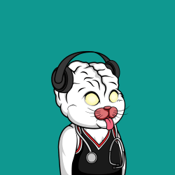 1 Big Brain Cat Society floor 0.0049