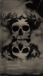 1 ARCELLA MEMENTO EDITIONS floor 0.033