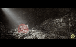 1 Timechains | Moments floor 0