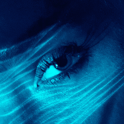 1 PAULO RENFTLE open edition floor 0