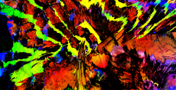 1 WG/DRP floor 0.003794