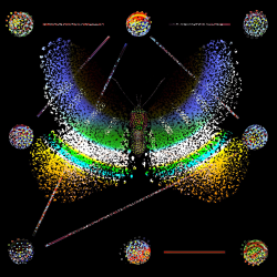 1 Monarchs floor 0.012776