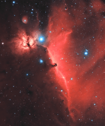 1 Open Editions by Mark Coull floor 0