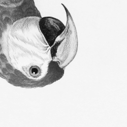 1 collision floor 0.006