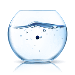 1 Marimo floor 0.00378