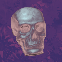 2 Poseidon DAO Gallery floor 0