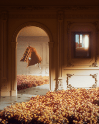 1 The Harmony floor 0.0279