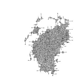 1 Oriental Pattern Cruising floor 0