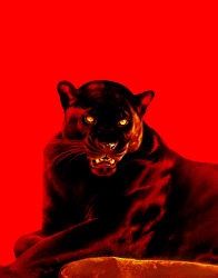 1 Voja editions floor 0