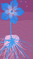20000064