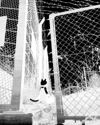 1 Quiet black color floor 0