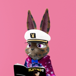 Playboy Rabbitars Official Rabbitar #1