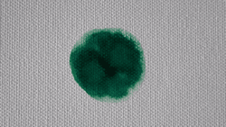 1 Cells by Pho floor 0