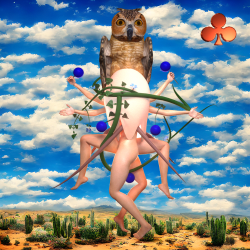 1 Gardens of Felt Zine Delights floor 0