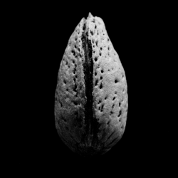 1 PAULO RENFTLE floor 0.01