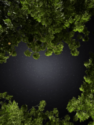 Between here and beyond