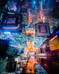 1 ICON 365 // One Year Anniversary 