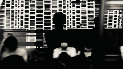 1 nanakusa floor 0.1