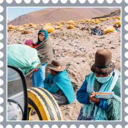 1 Stampu floor 0.00088