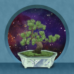 1 BONSAI NFT FARM floor 0.002155