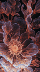 BIOME LUMINA #24/1000