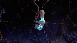 2 Arthr Limited Editions floor 49.69