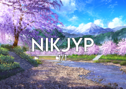 1 NIKJYP COLLECTION floor 0