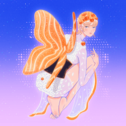 WINGS #011 | Salmon Nigiri