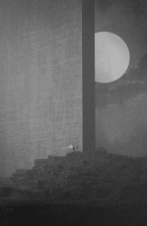 1 Manfredi Caracciolo Editions floor 0.15