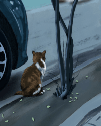 The Silent Observer
