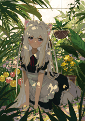 1 Shiro in the Botanical Garden floor 0