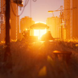 1 Robin Fischer Editions floor 0